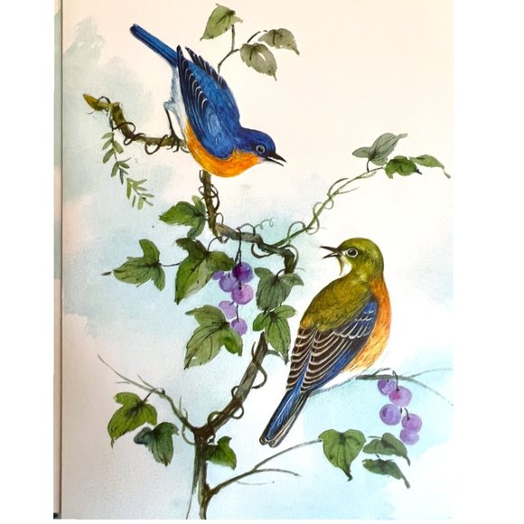 Vtg GREETING CARDS "Winged Beauties" Watercolor Birds Embossed Full Set Ephemera - Picture 11 of 15